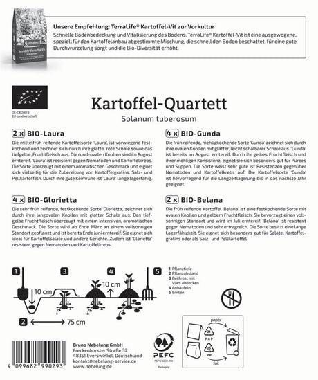 Kiepenkerl BIO Kartoffel Quartett Vielfalt 12 Stück