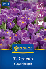 Großblumiger Krokus Flower Record