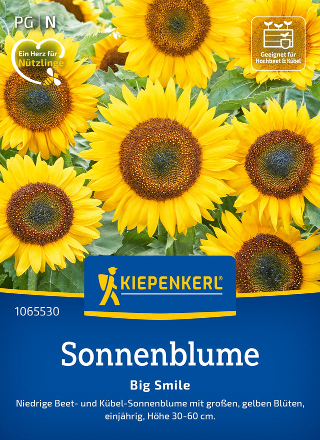 Kiepenkerl Sonnenblumen Big Smile