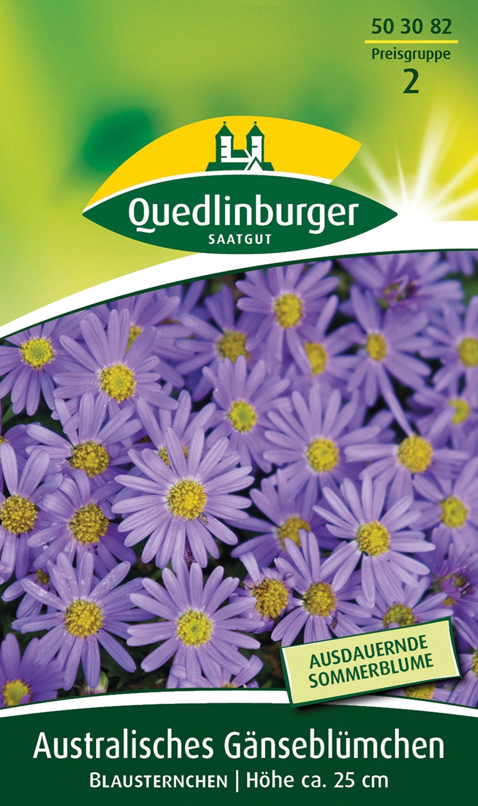 Quedlinburger Gänseblümchen Australisches blau