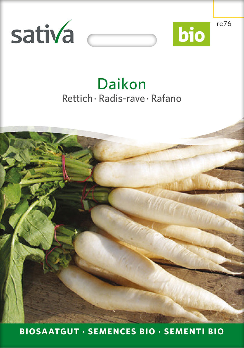 Sativa Rettich Daikon