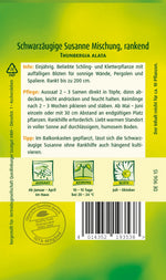 Quedlinburger Schwarzäugige Susanne  Mischung, rankend