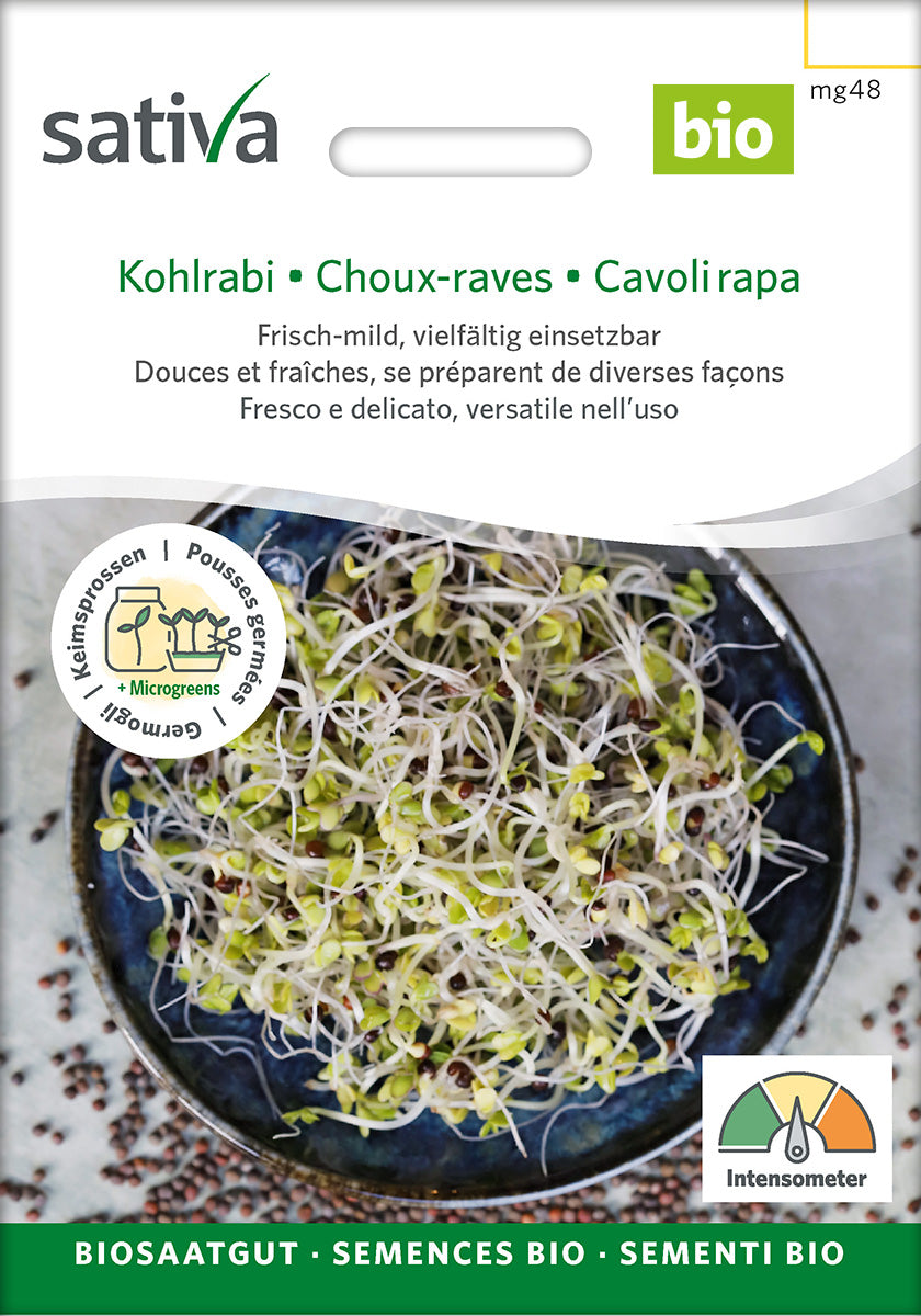 Sativa Keimsprossen Kohlrabi