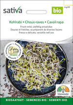 Sativa Keimsprossen Kohlrabi