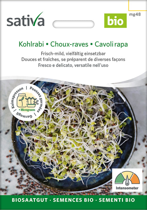 Sativa Keimsprossen Kohlrabi