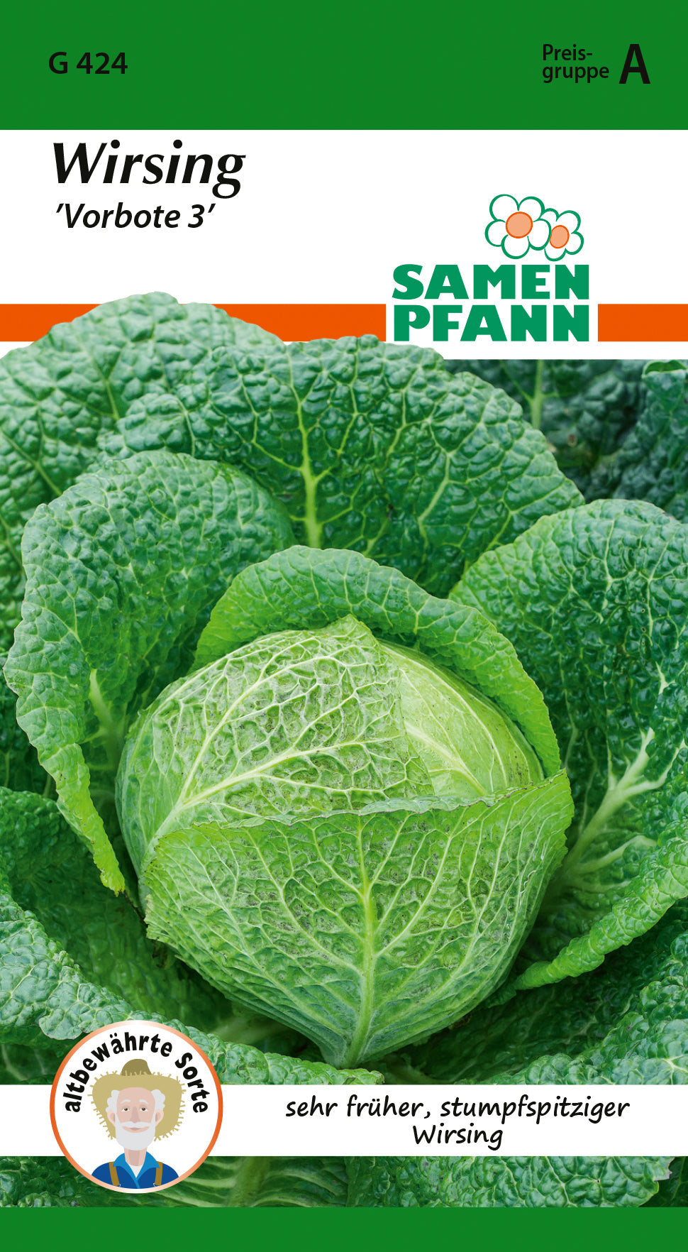 Samen Pfann Wirsing Vorbote 3
