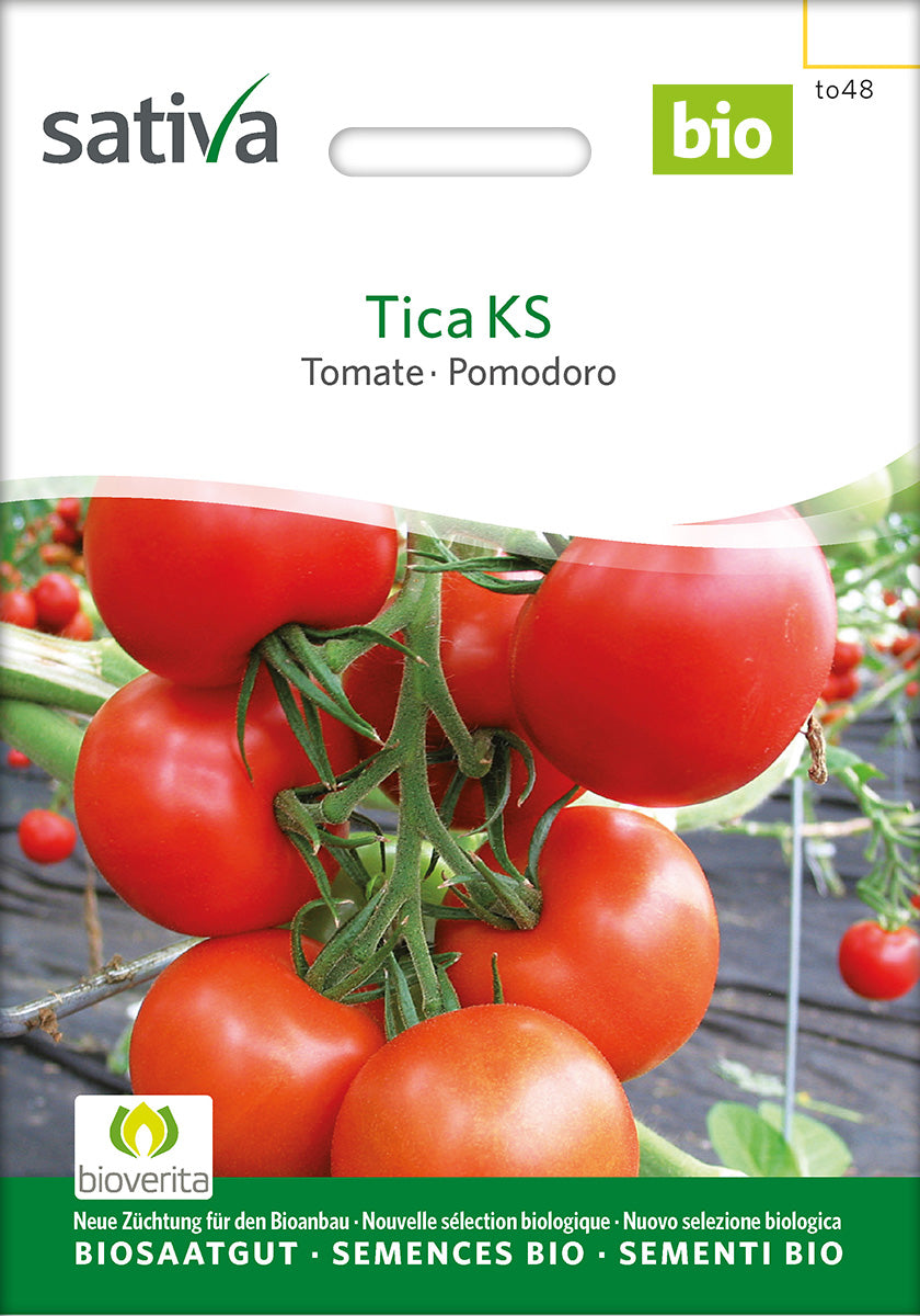 Sativa Tomate Tica KS