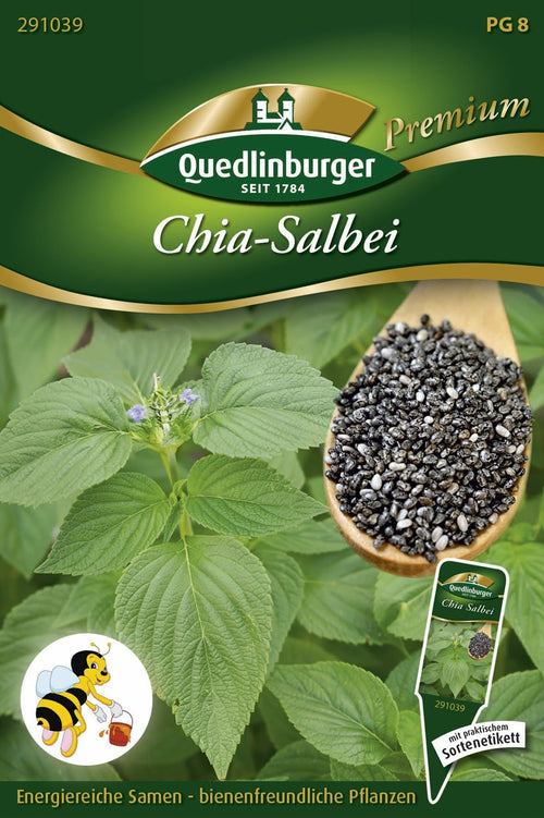 Quedlinburger Salbei Chia-Salbei