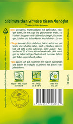 Quedlinburger Stiefmütterchen Schweizer Riesen Abendglut