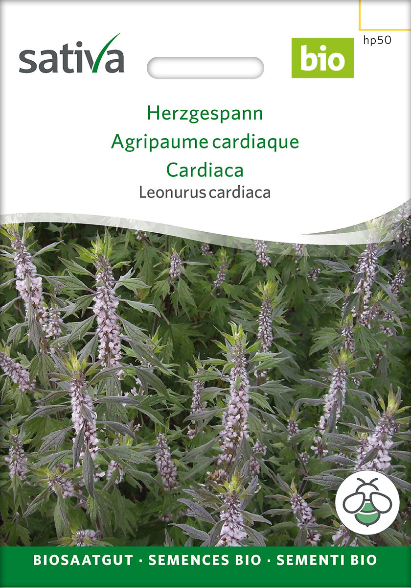 Sativa Leonurus cardiaca Herzgespann