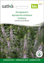 Sativa Leonurus cardiaca Herzgespann