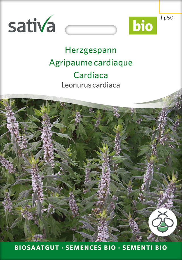 Sativa Leonurus cardiaca Herzgespann