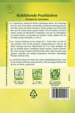 Quedlinburger Prunkbohne rotblühende
