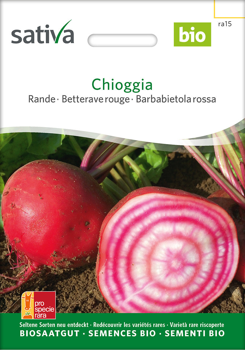 Sativa Rande Chioggia