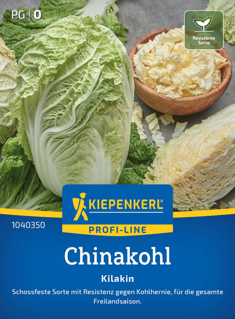 Kiepenkerl Chinakohl Kilakin