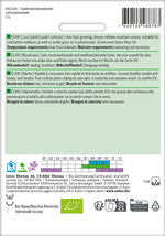 Sativa Nüsslisalat Elan Saatband