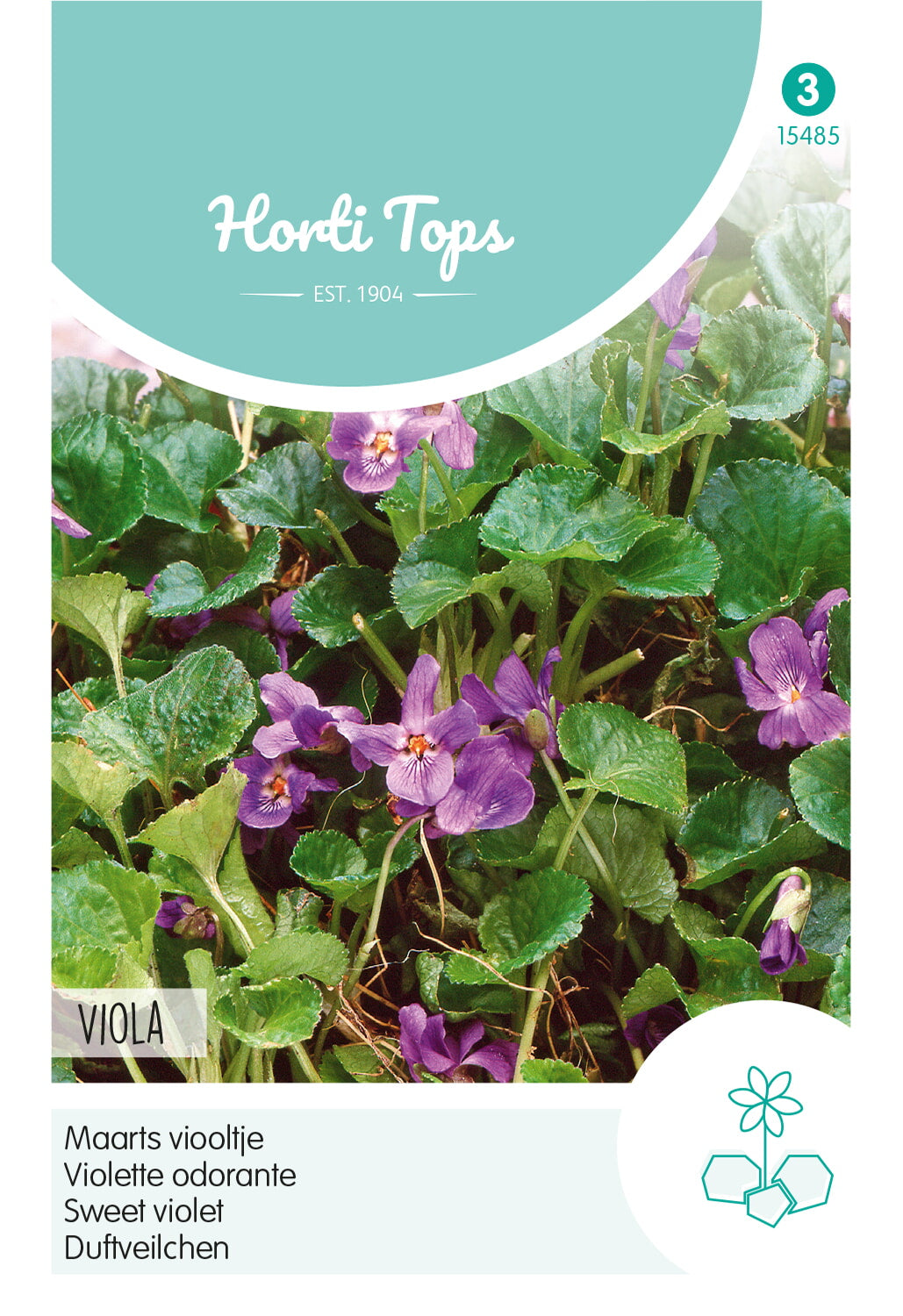 Horti Tops Duftveilchen Odorata Dunkelblau