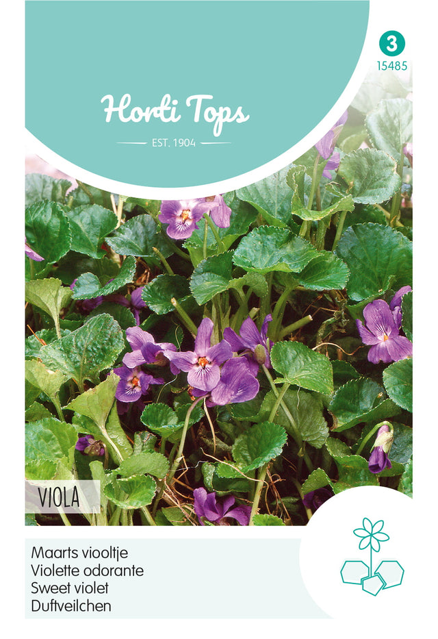Horti Tops Duftveilchen Odorata Dunkelblau