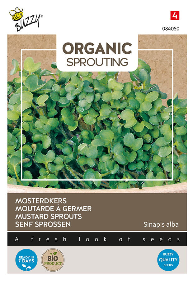 Buzzy Seeds BIO Keimsprossen Senf Sprossen