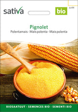 Sativa Polentamais Pignolet