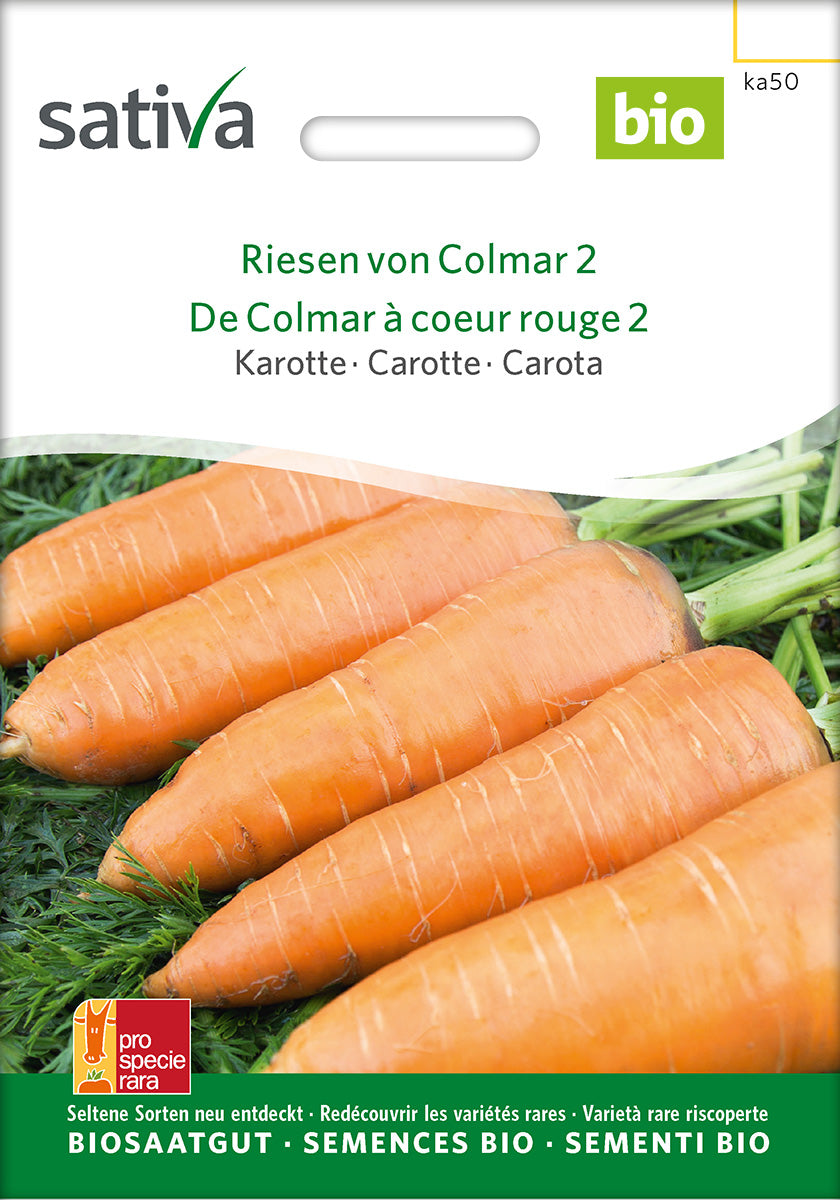 Sativa Karotte Riesen von Colmar 2