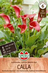 SPERLI Calla Calla Majestic Red