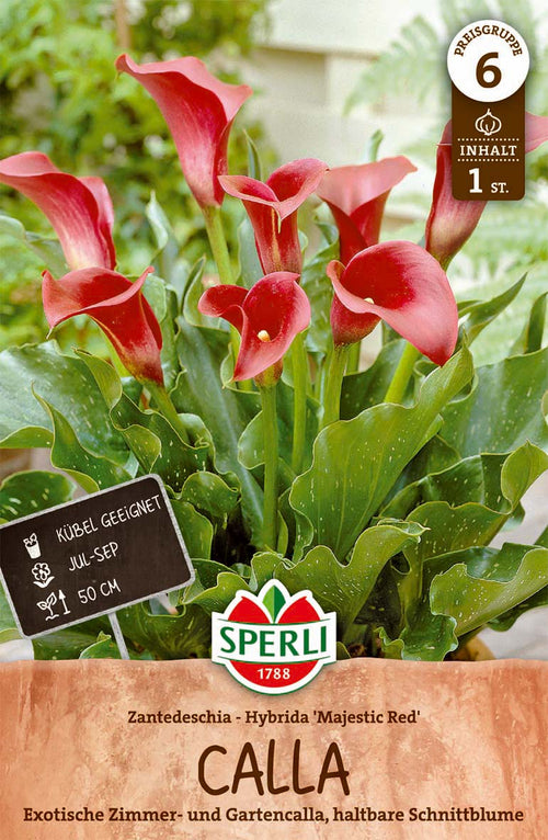 SPERLI Calla Calla Majestic Red