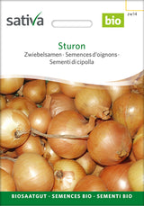 Sativa Zwiebelsamen Sturon