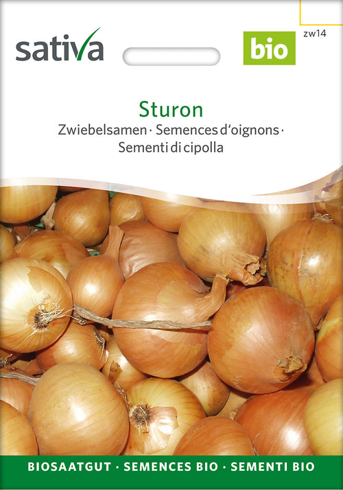 Sativa Zwiebelsamen Sturon