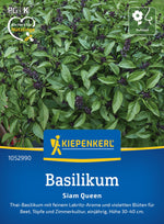 Kiepenkerl Basilikum Siam Queen
