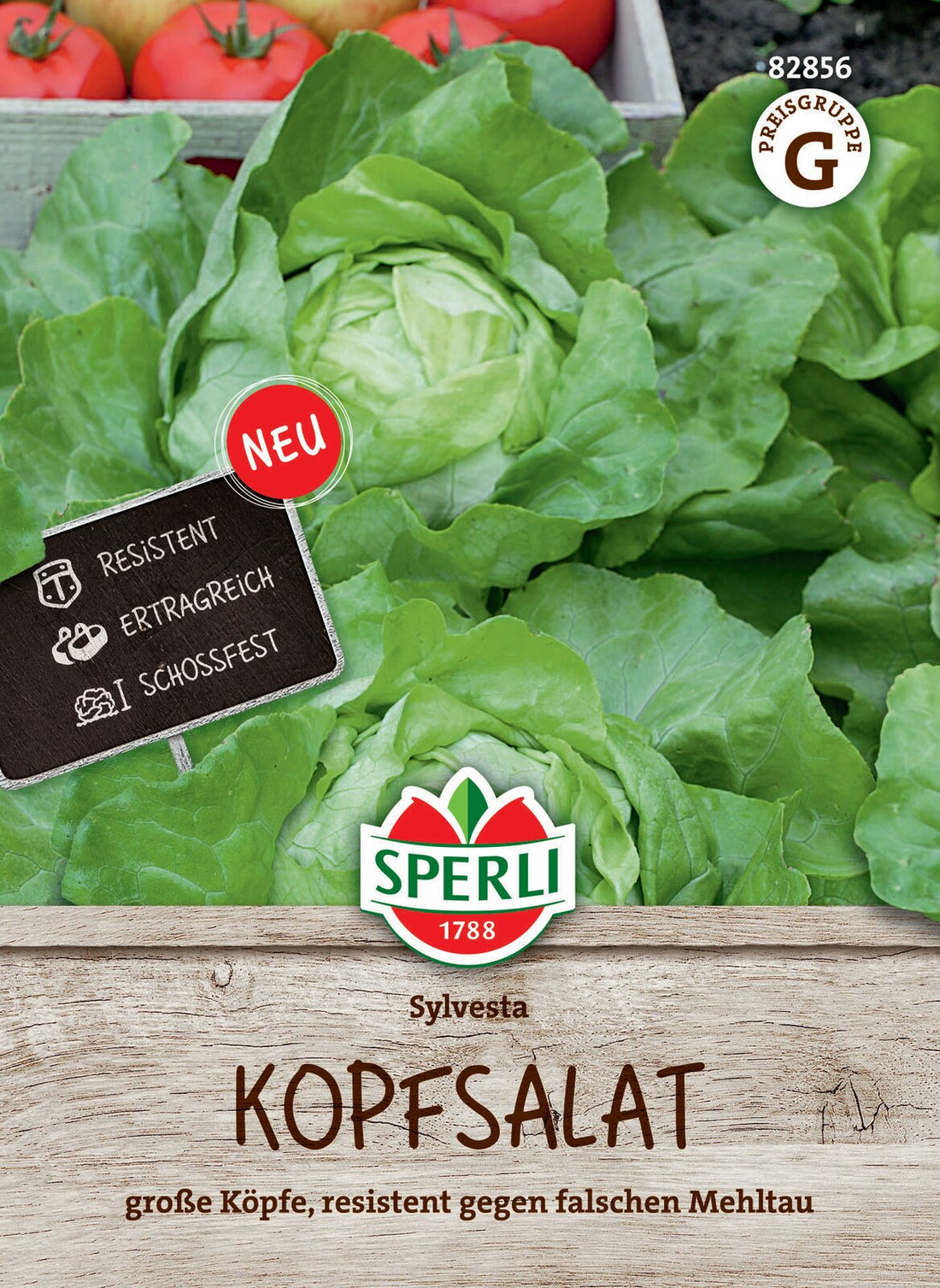SPERLI Kopfsalat Sylvesta