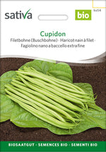 Sativa Filetbohne (Buschbohne) Cupidon