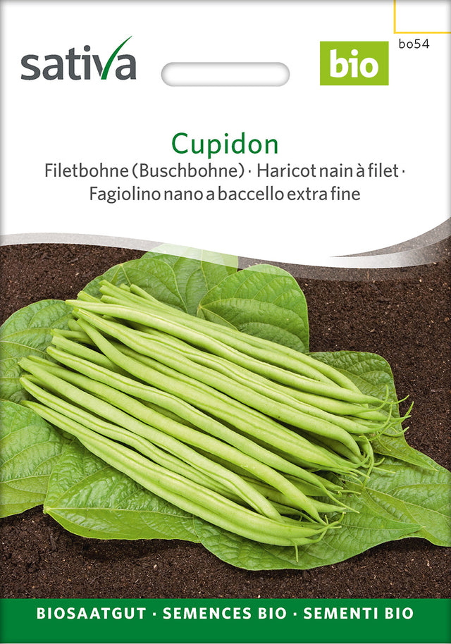 Sativa Filetbohne (Buschbohne) Cupidon