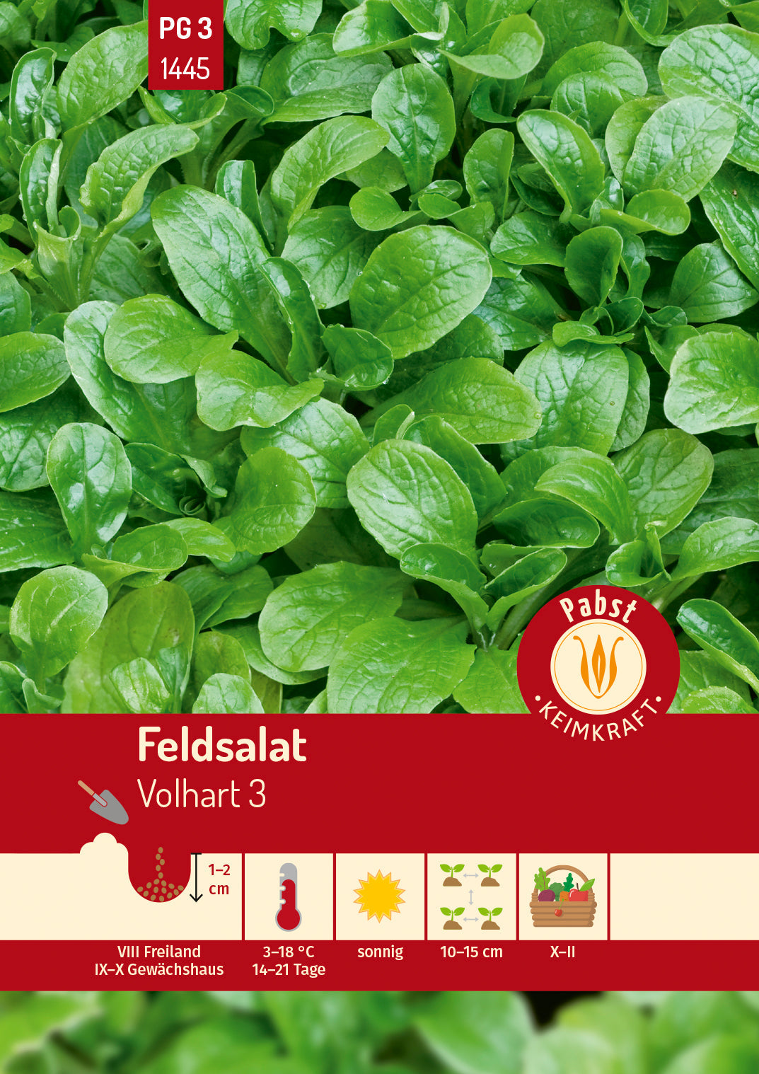 Pabst Keimkraft Feldsalat Volhart 3