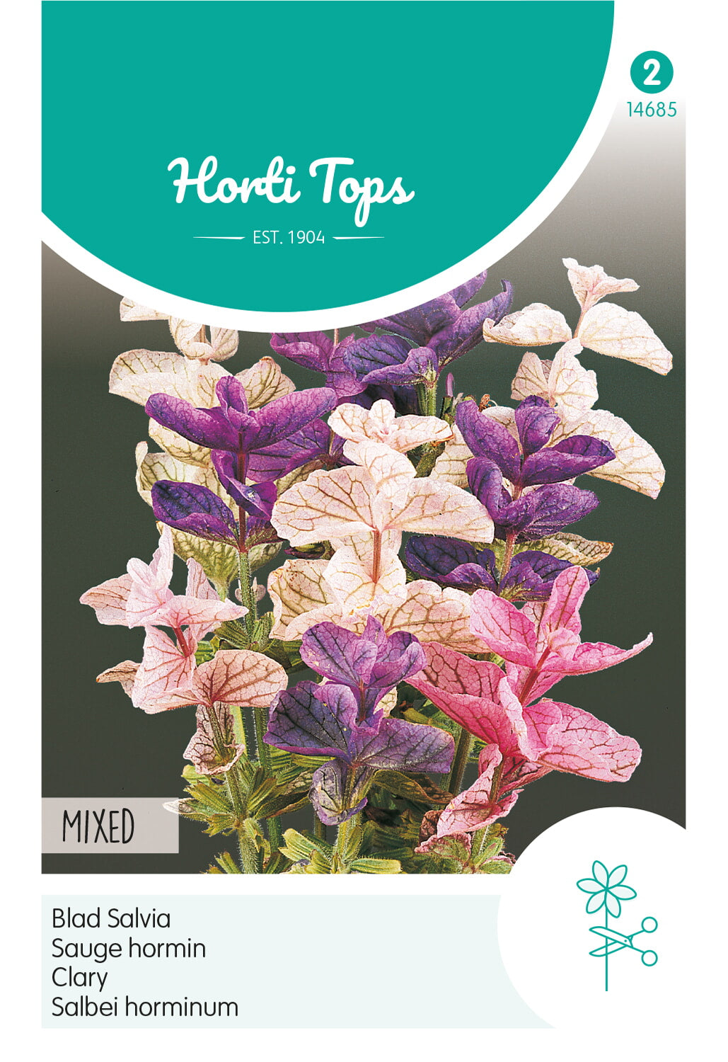 Horti Tops Salbei Horminum Tricolor Mischung