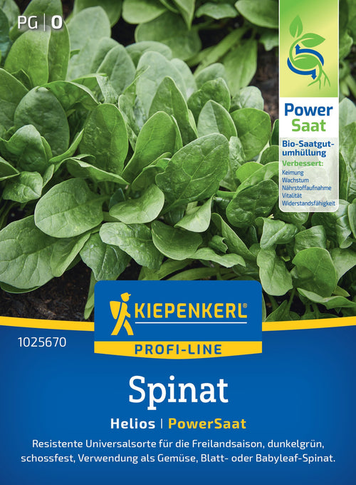 Kiepenkerl Spinat Helios Powersaat