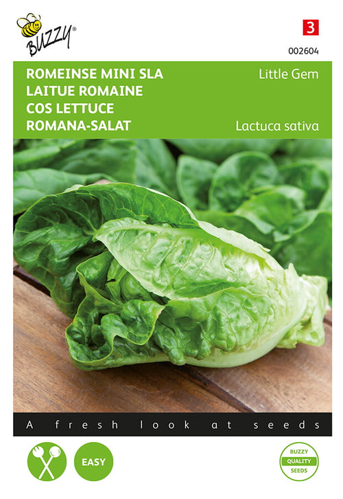 Buzzy Seeds Salat Little Gem