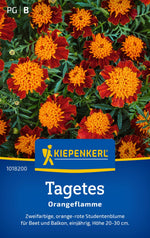 Kiepenkerl Studentenblumen Orangeflamme