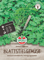 SPERLI Blattstielgemüse Stielmus / Rübstiel