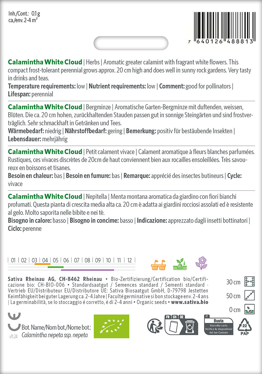 Sativa Bergminze Calamintha White Cloud