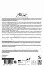 Alpenveilchen-Narzisse Terry