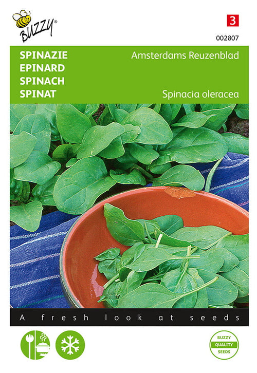 Buzzy Seeds Spinat Amsterdams Reuzenblad scharfsamig
