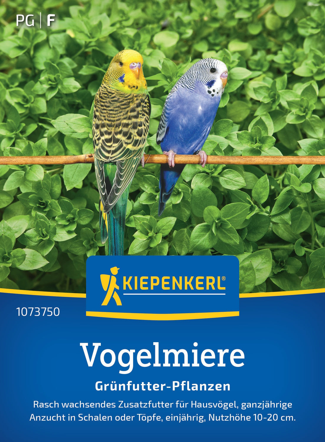 Kiepenkerl | Frischfutterpflanzen Vogelmiere Loses Saatgut | 1 m²