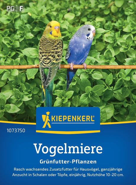 Kiepenkerl Frischfutterpflanzen Vogelmiere Loses Saatgut