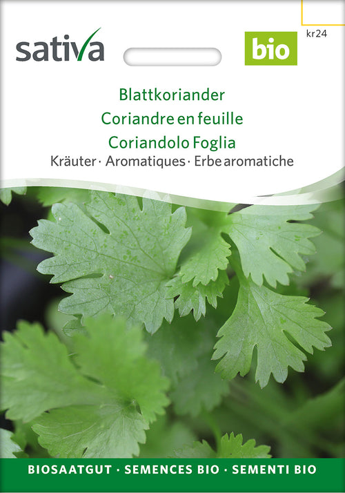 Sativa Blattkoriander