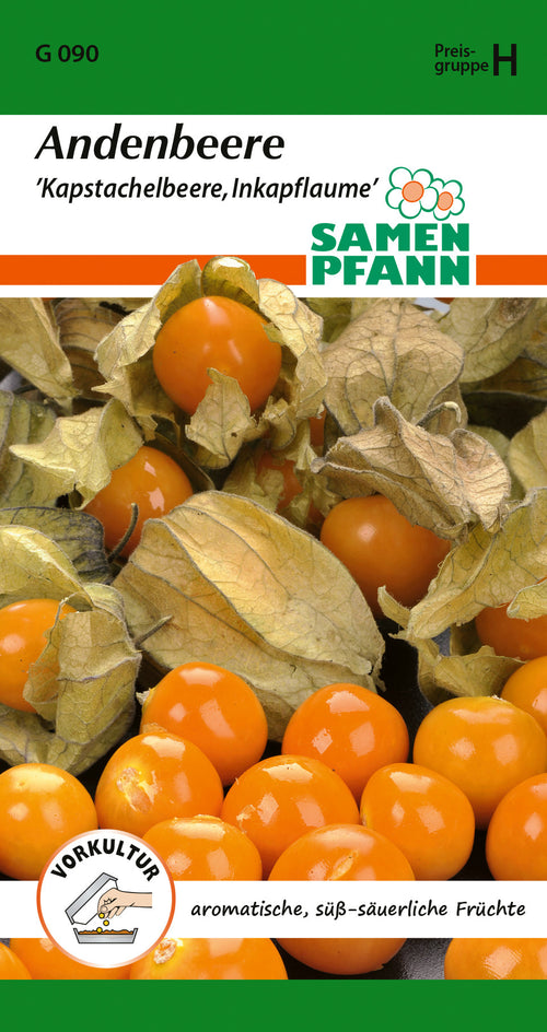 Andenbeere Samenpackung, zeigt orange Kapstachelbeeren mit getrockneter Hülle, aromatische süß-saure Früchte