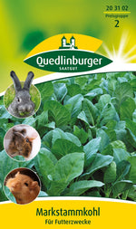 Quedlinburger Markstammkohl Futterkohl