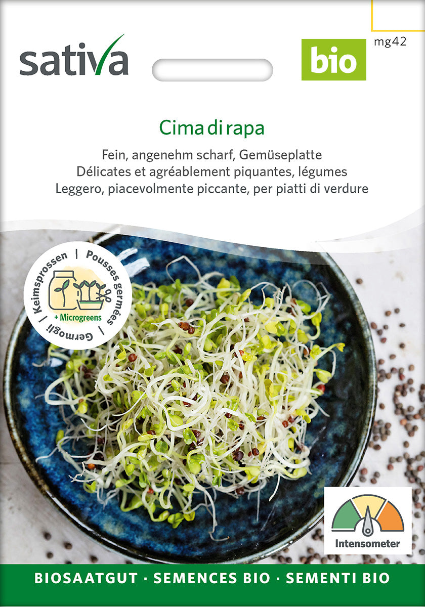 Sativa Keimsprossen Cima di rapa
