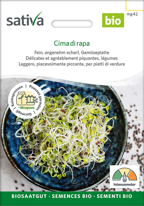 Sativa Keimsprossen Cima di rapa