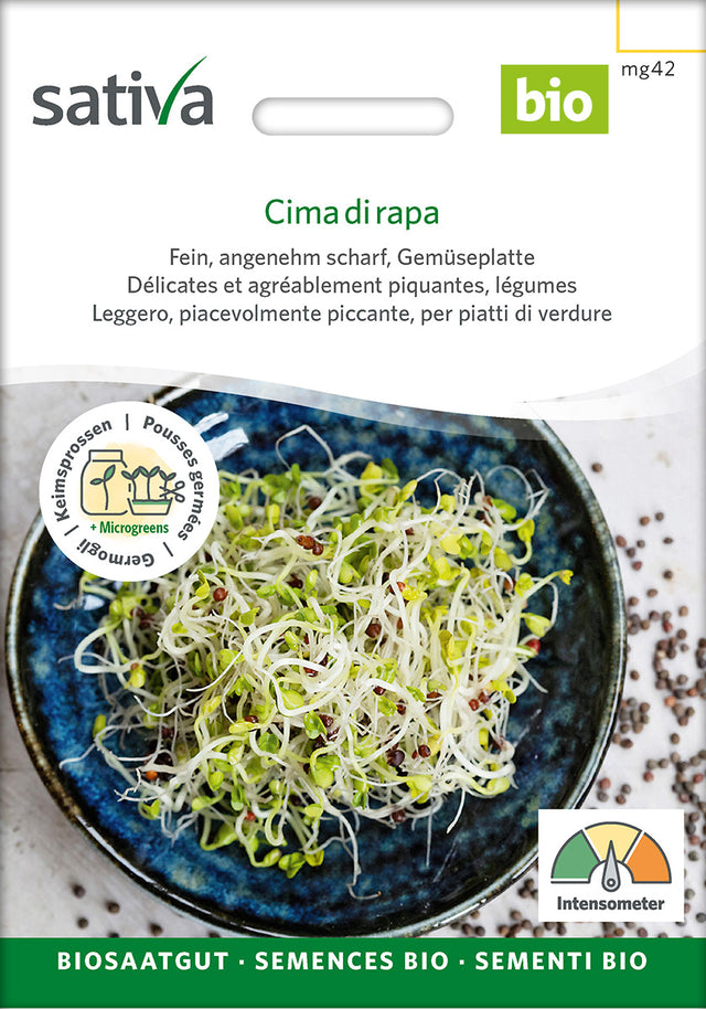 Sativa Keimsprossen Cima di rapa
